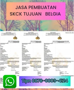 jasa-pembuatan-skck-tujuan-belgia