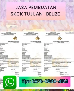 jasa-pembuatan-skck-tujuan-belize
